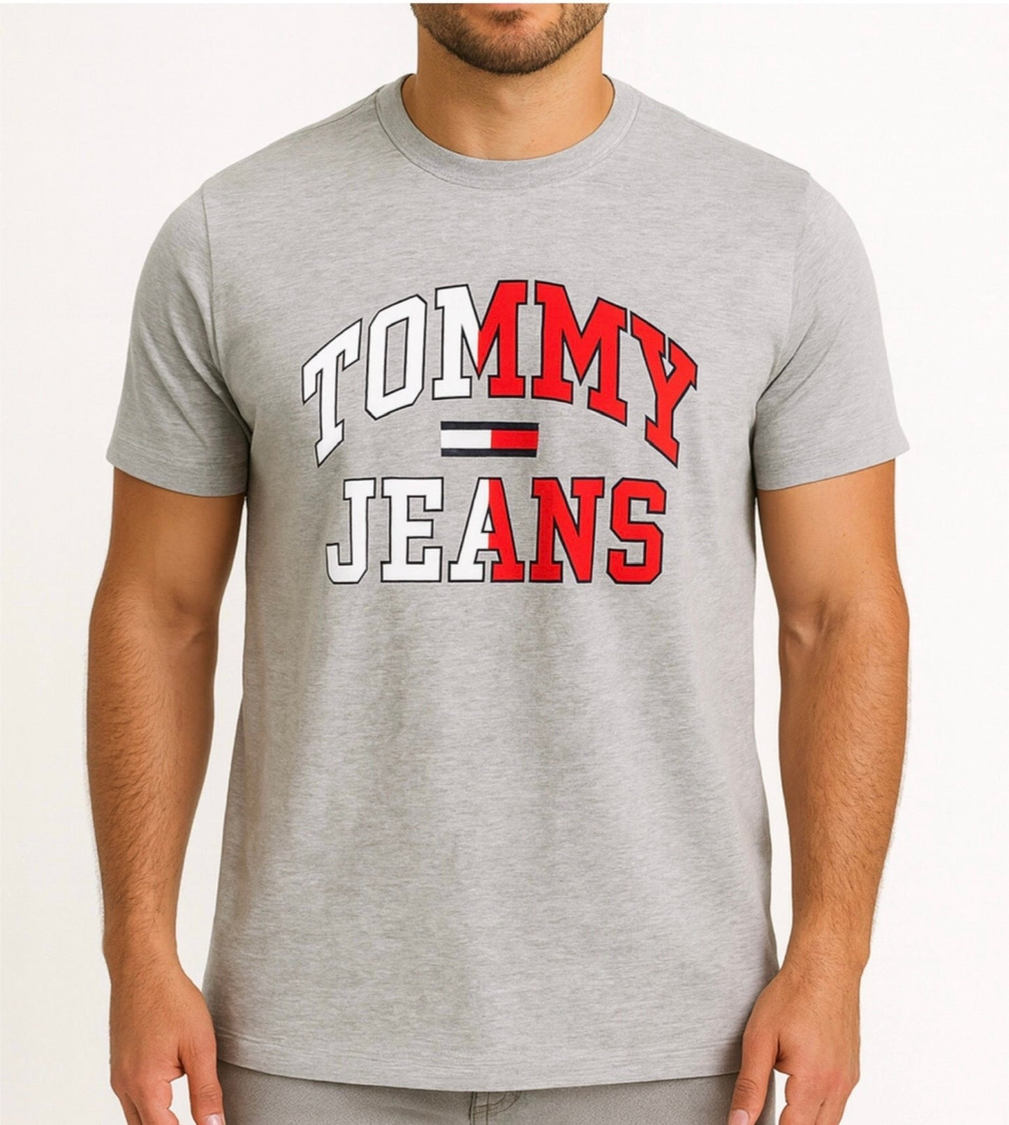 Camiseta TH estampado gris hombre