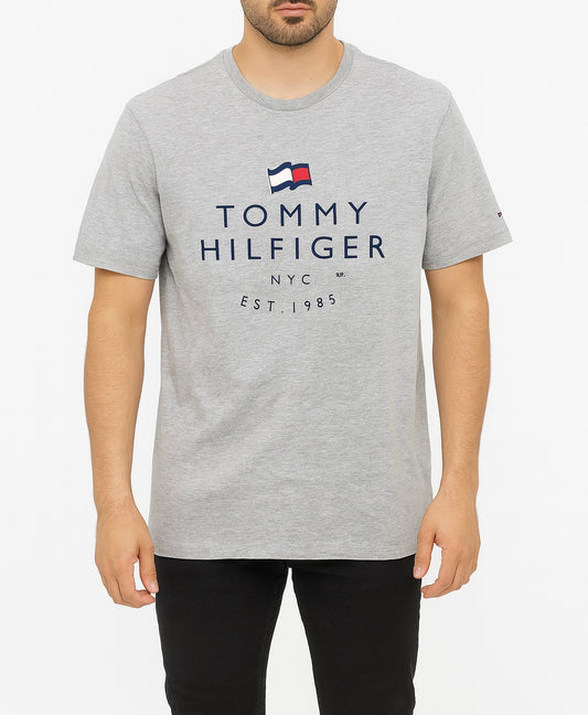 Camisa TH gris